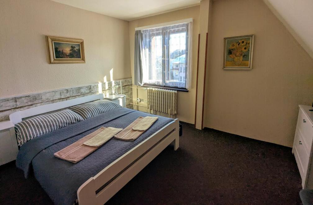 Hotel Alfa Trutnov Bagian luar foto